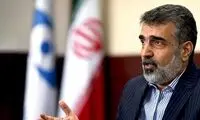 کمالوندی: بازرسی‌های فراپادمانی آژانس متوقف شد