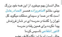 واکنش‌های تند به اظهارات همسر حداد ادامه دارد