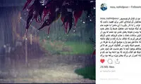 رشیدپور: برای بازگشت برنامه نود تلاشم را کردم