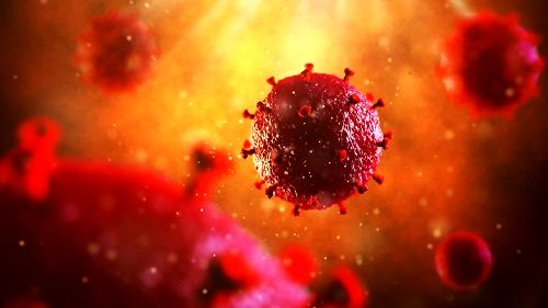 سلول‌های بنیادی طلسم درمان ایدز را شکستند