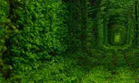 آشیانه‌ پرستو، قلعه‌ ای برفراز صخره‌ ها