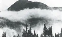 ماجرای خواندنی عجیب‌ترین خانواده تاریخ