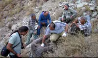 مرگ یک خرس در ارتفاعات تهران +عکس