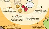 اینفوگرافی: موقع رژیم، چگونه گرسنه نشویم؟