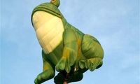 تصاویری دیدنی از جشنواره بالون ها