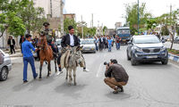 عکس: آئین سنتی «بیل گردانی»