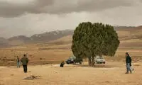 «تک‌درخت» عباس کیارستمی ثبت ملی می‌شود