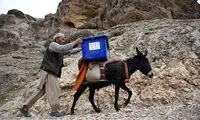عکس: جابجایی صندوق آرا در افغانستان