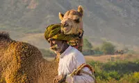 عکس روز نشنال جئوگرافیک؛ دوستان صمیمی