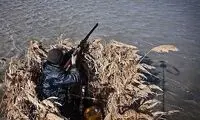 آشوب شکارچیان در میانکاله