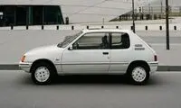 عکسی از پژو 205 سوسمار نشان!