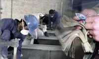 واکنش عجیب یک مسئول به رقم دستمزد کارگران