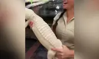 قیافه بامزه و تو دل برو یک تمساح بعد از مسواک!