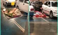 عجیب‌ترین مکان برای اسکان مسافران نوروزی!