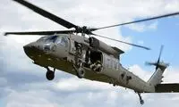 درباره پرنده کم‌صدایی که در شکار بن‌لادن شرکت داشت!