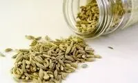 این مواد غذایی‌ به کاهش التهاب معده کمک می‌کنند