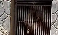 یک بی‌پناهِ اسیر که در تهران زجرکش می‌شود!