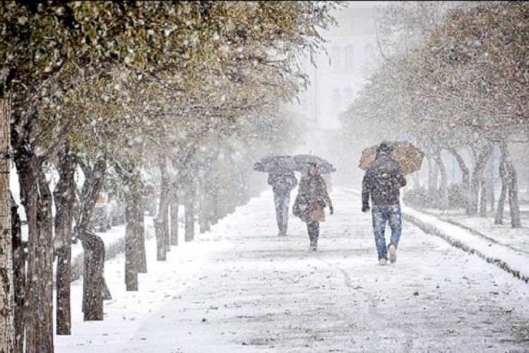 لحظات دل‌انگیزِ بارش اولین برف پاییزی در تبریز