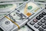 قیمت دلار شبانه بالا کشید