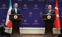 امیرعبداللهیان: از مرگ طبیعی مهسا هجمه ساختند