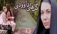 صداوسیما دیشب با گل‌های داوودی اشک مردم را درآورد