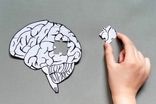 کارهایی که آی کیو را پایین می‌آورند