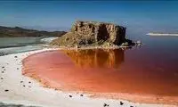 کارشناس تلویزیون در برنامه زنده به سیم آخر زد