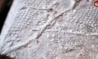راز 500 میلیون ساله این فسیل‌های هندسی