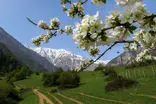 تصاویر رویایی و چشم‌نواز از دشت دریاسر تنکابن