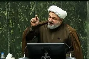 سخنرانی خبرساز دختر رسایی در یک تجمع شبانه 