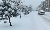هشدار بهمن و سرمازدگی در ارتفاعات تهران