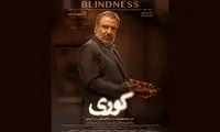 قسمت اول سریال «کوری» فردا ساعت ۲۰ در فیلم‌نت