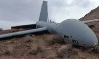 سپاه پهپاد هرمس شکار کرد