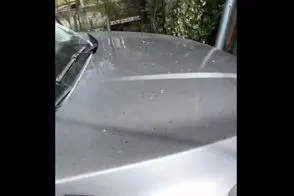 باران نفت در روسیه بعد از حمله اوکراین