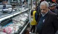 بسته‌بندی مرغ از مرغ گران‌تر شد!