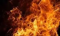 حریق گسترده در چند کارگاه و کارخانه در تهرانپارس