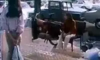 تصاویری خاص از خیابان های تهران در تابستان 58