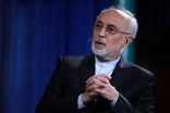 پیشنهاد راه‌اندازی پیمان امنیت جمعی با کشور‌های خلیج فارس