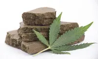جاسازی عجیب 60 کیلو حشیش در خانه!