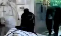تشویق باورنکردنی یک میمون به تقلید حرکاتش توسط یک انسان!