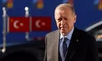 اردوغان: یک شبه می‌آییم یونان!