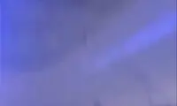  لحظه هولناک برخورد پرندگان به هواپیما