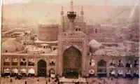 شتر پناهنده به حرم امام رضا نجات پیدا کرد