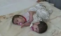 خبری از شیراز که مردم را از نگرانی درآورد