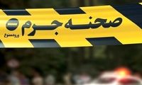 قتل تلخ مدرس دانشگاه تهران توسط همسرش