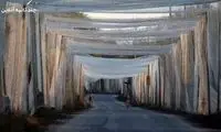 تصاویری از زندگی در اکراین زیر سایه‌ «تورهای ضدپهپاد»
