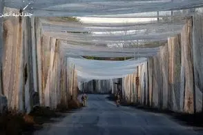 تصاویری از زندگی در اکراین زیر سایه‌ «تورهای ضدپهپاد»