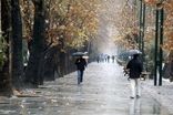آسمان این استان‌ها از فردا بارانی می‌شود