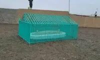 طالبان از قبر ملا عمر رونمایی کرد