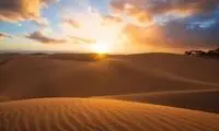 تصویری خیره‌کننده از یک باغ زیبا در کویر